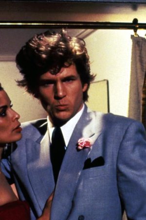 The American Success Company [1980] beandevelopers