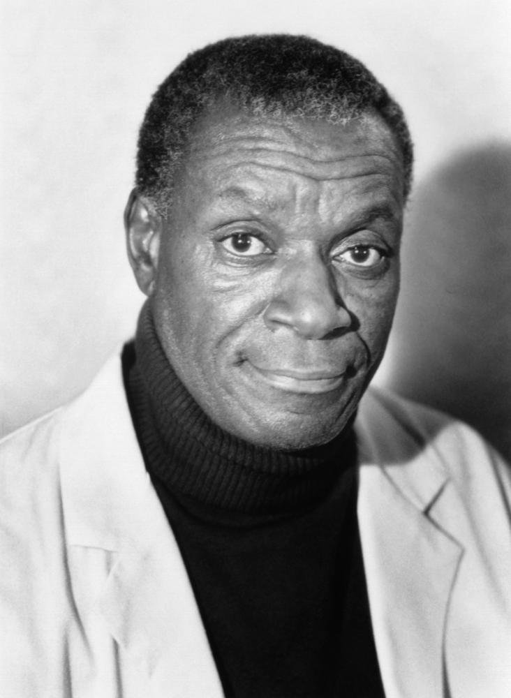 Moses Gunn Net Worth